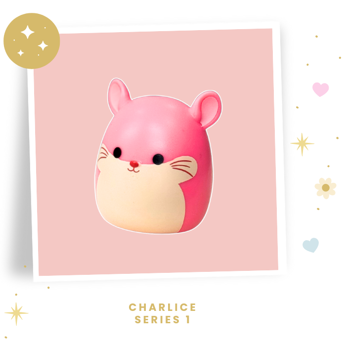 Choose your Squish- a - Long Topper ONLY