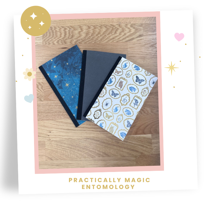 8x5 Pack of 3  Practically Magic Travelers Note Book: Entomology