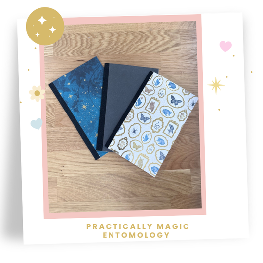 8x5 Pack of 3  Practically Magic Travelers Note Book: Entomology