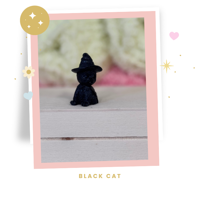 Witchy Collectible Interchangeable